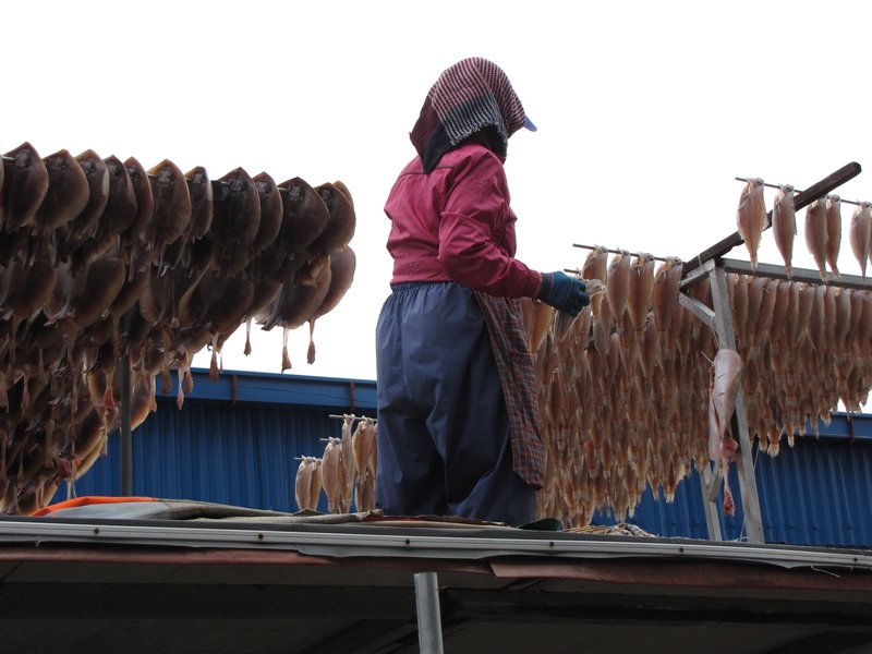 Drying Racks - Jagalchi Fish Market