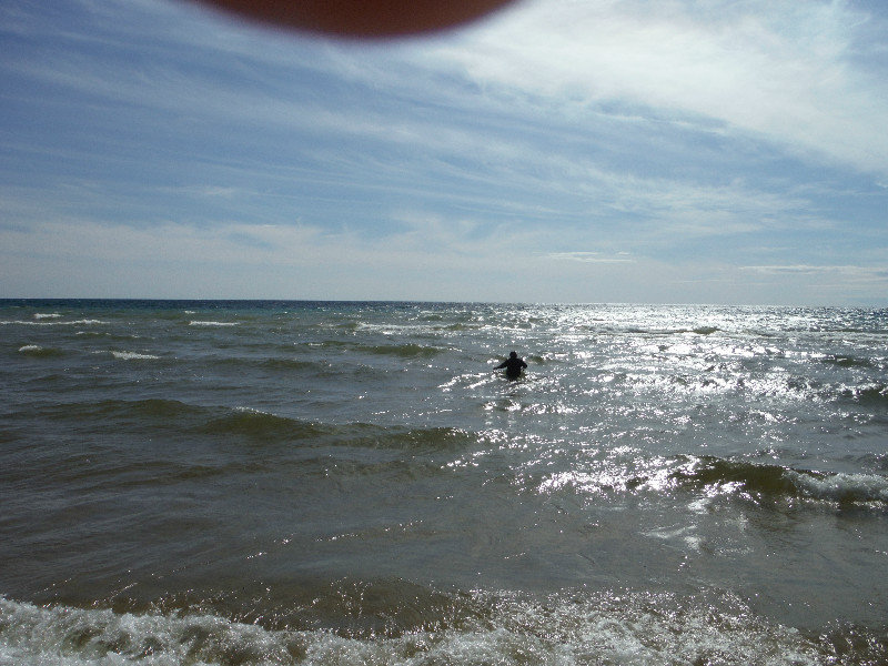 Mason swimming on Lake Michigan