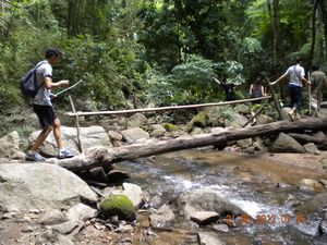 bamboo bridge on trek