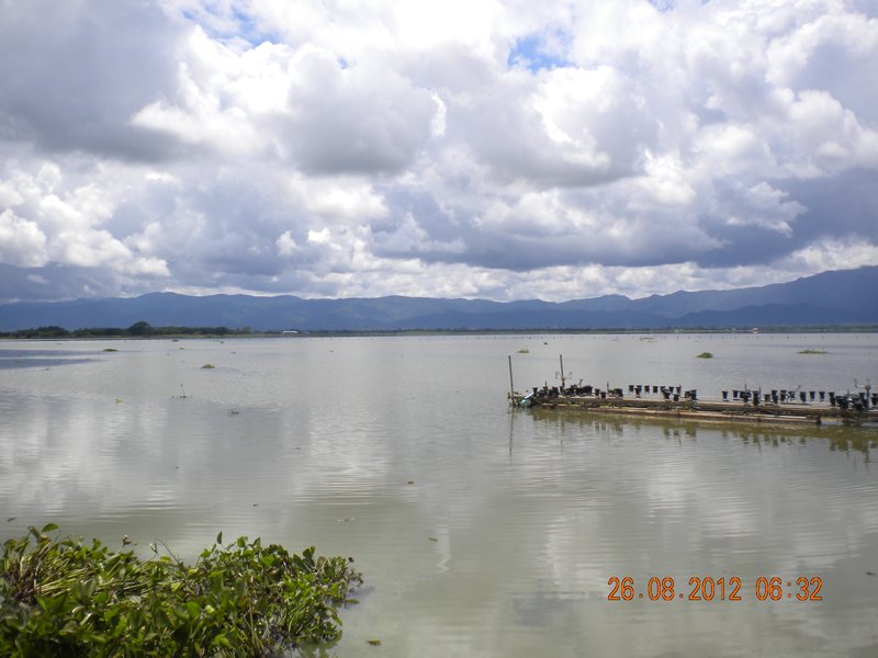 phayao lake 4
