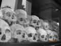 Skulls at Killing Fields