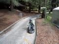The Luge!!!