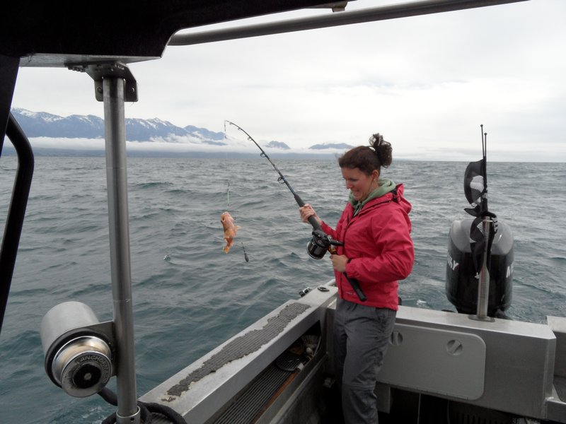 Jen catching a seaperch