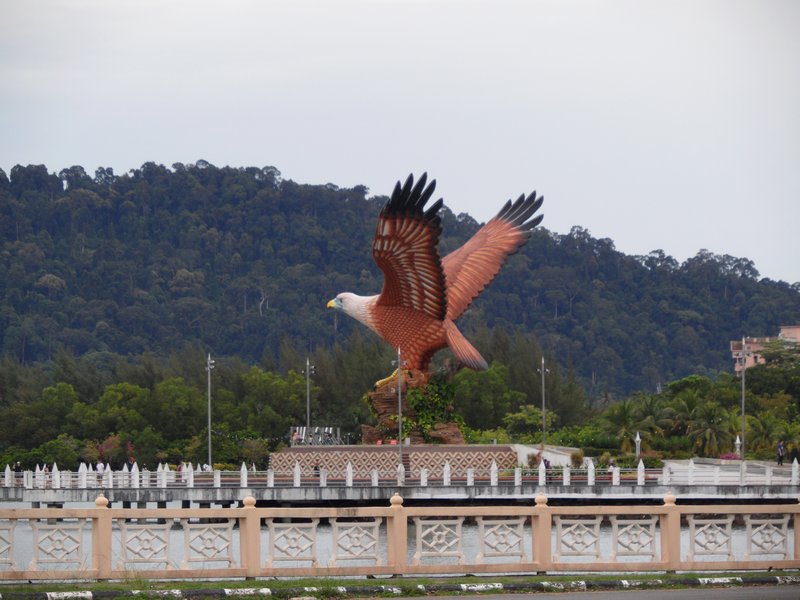 Langkawi Fish Eagle
