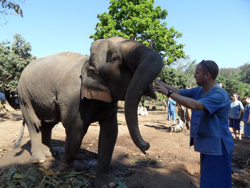 me feeding the elephants
