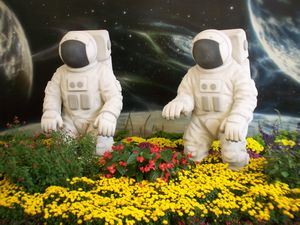 I guess they have flowers in space...