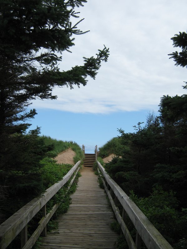 walkway leading to the beach
