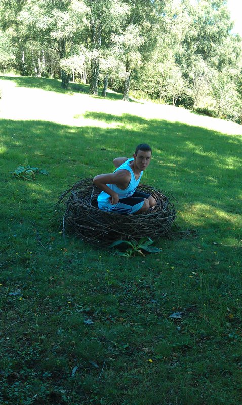 Odd Fake Bird's Nest