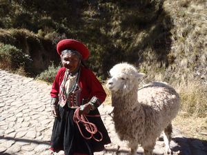 The money shot - toothless lady with Llama