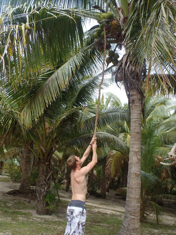 Just one more coconut before we leave