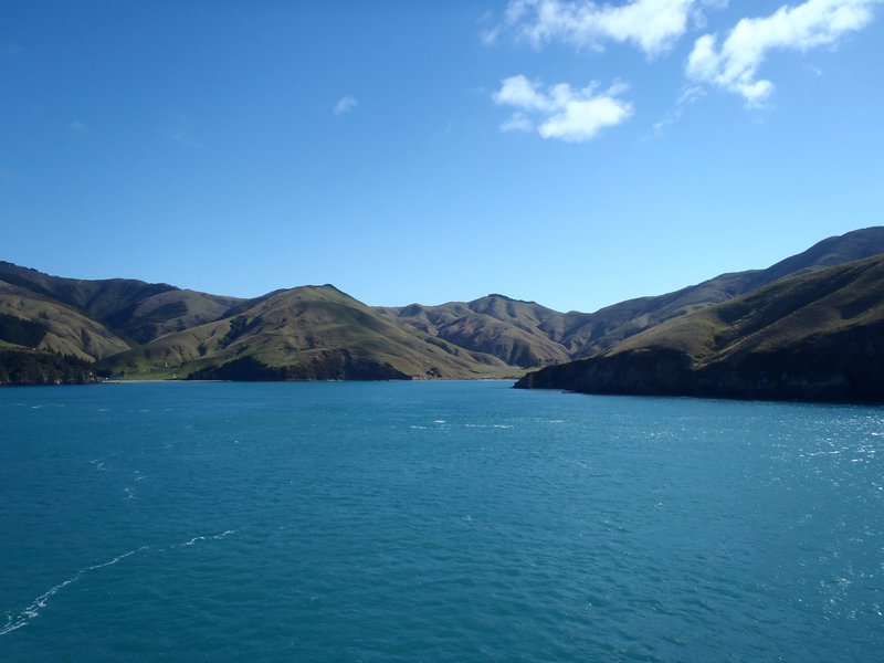 The view of Queen Charlotte Sound from the Ferry as we approach the South Island