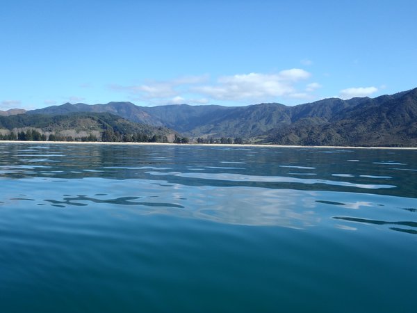 The crystal clear ocean off Abel Tasman