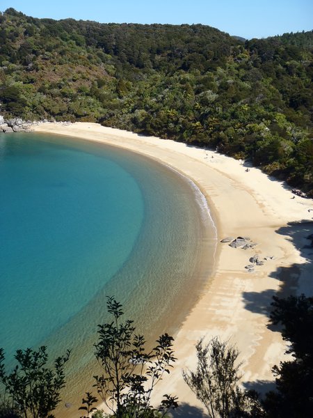 Amazing beach in Abel Tasman