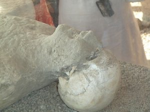 The buried bodies of Pompeii