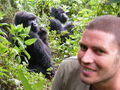 Tracking the Susa gorillas
