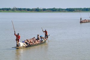 Pinasse on the Niger river