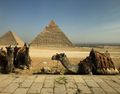 Pyramid views- Giza Complex