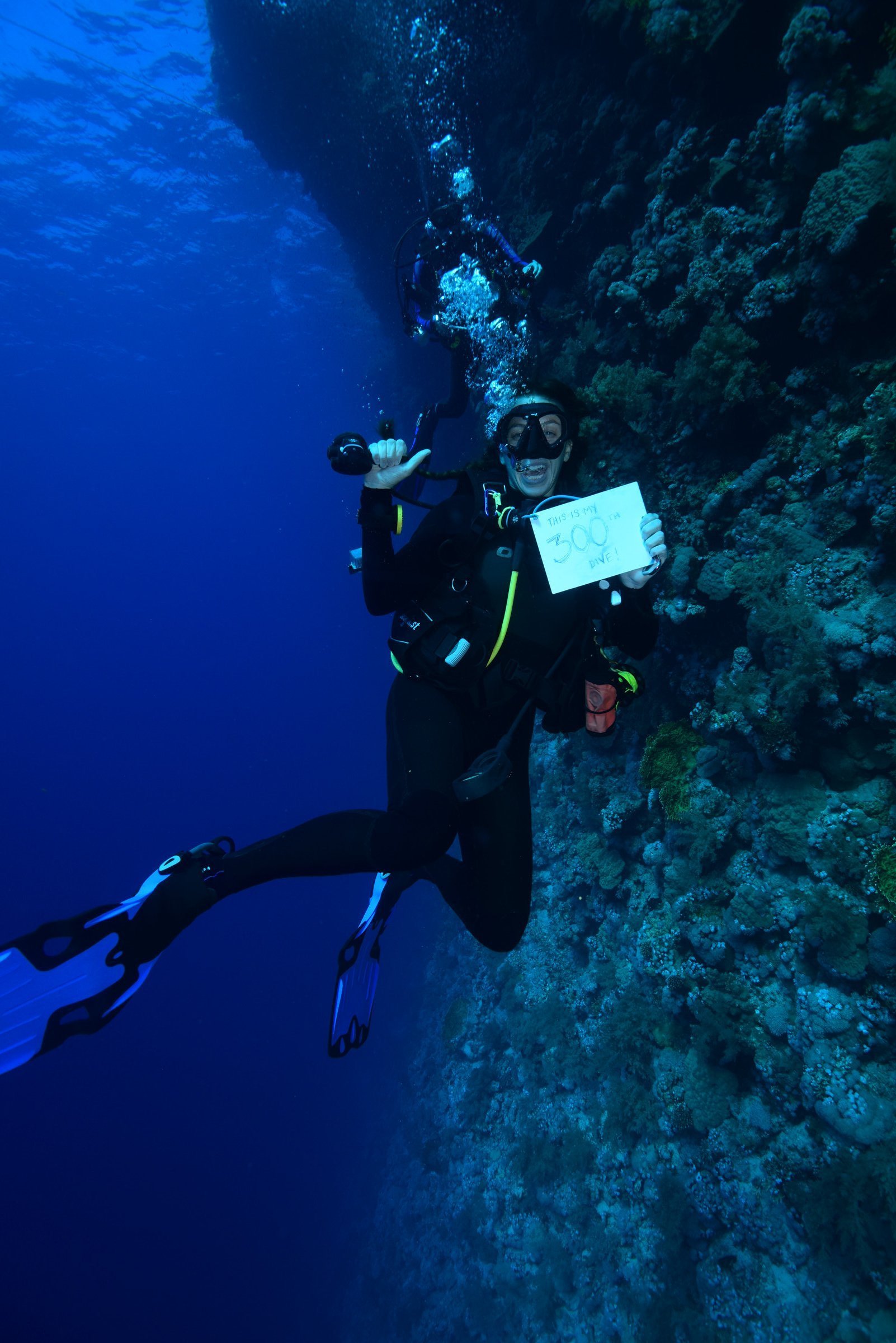 deep blue diver 300