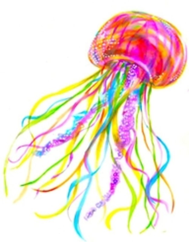colorful jelly