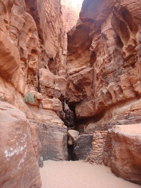 Canyon i Wadi Rum