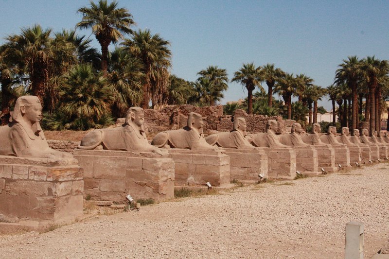 Avenue of Sphinx - Luxor Temple