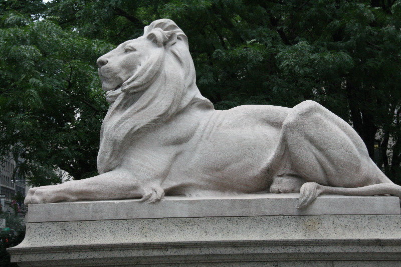 One of the stone lions guarding the library entrance