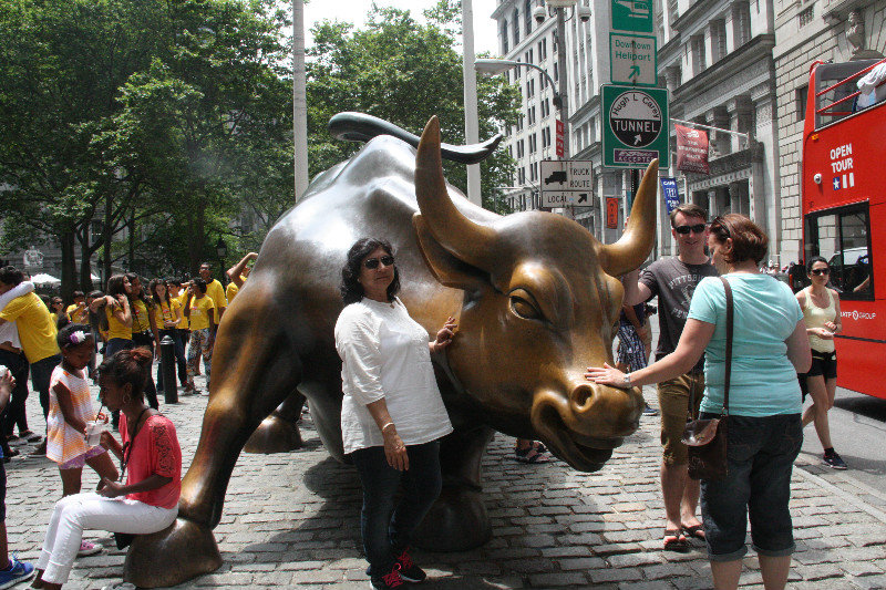 The Financial District Bull