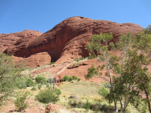 Olgas - View from First lookout
