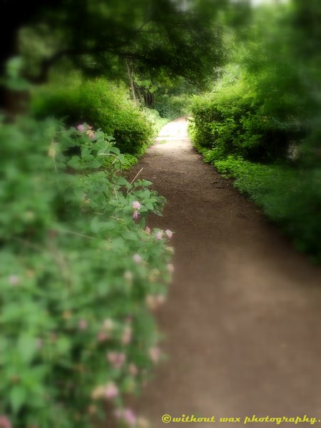 The Pathway.