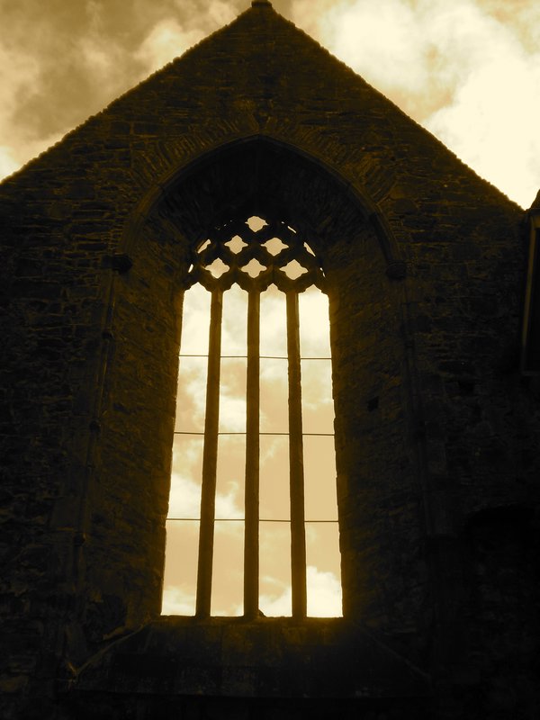 Sligo Abbey - Artistic Shot