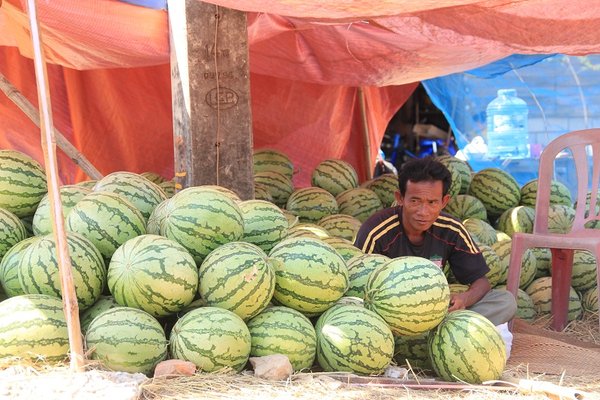 Melon time in Tha Khaek - Central Laos