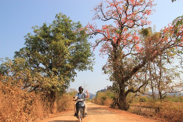 On the road again - Laos