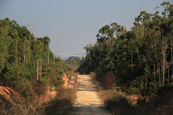 Through the jungle - Central Laos