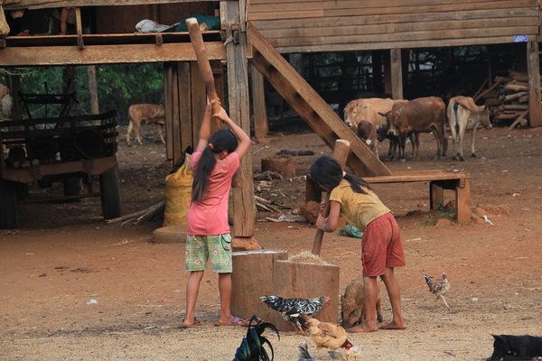 Local village work - Bolaven Plateau - Laos