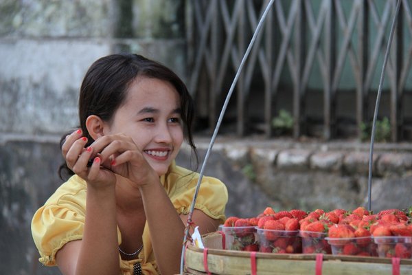 Strawberries - Burma