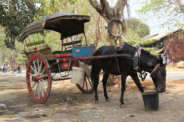 Horse cart - Mandalay Burma