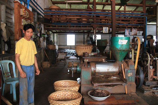 Peanut oil factory - Hsipaw - Burma