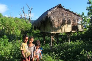 Barn near Deturia - Flores - Indonesia