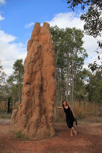 Cathedral termite hill - Litchfield NP