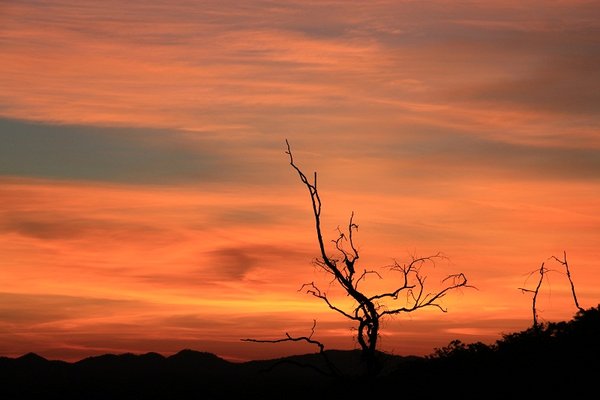 Colourful sunset over Kakadu NP