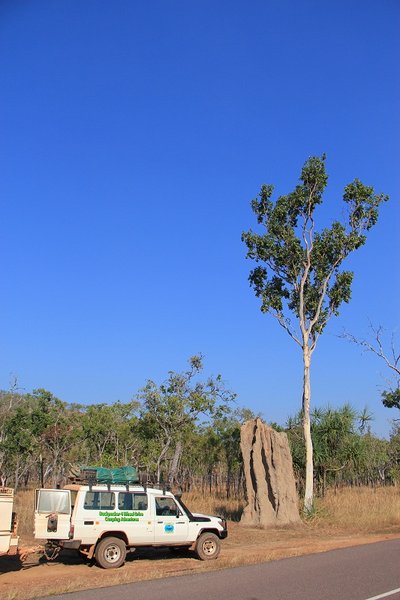 What a termite hill - Kakadu NP