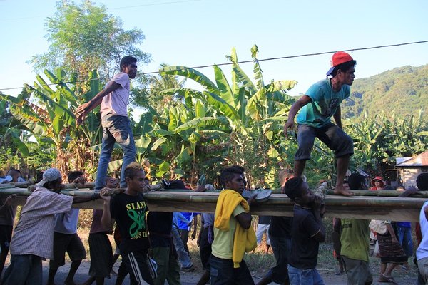 Bringing the main pillars for the community house - Alor