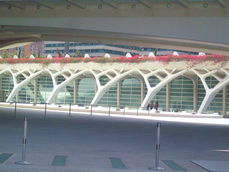 Walkway at the Complex