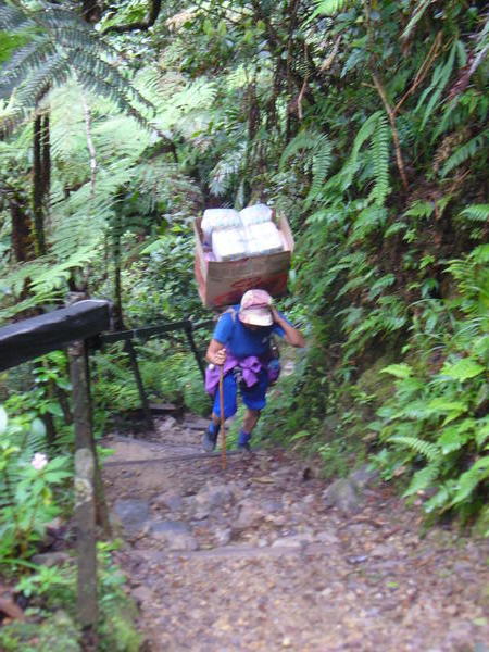 One of the Porters