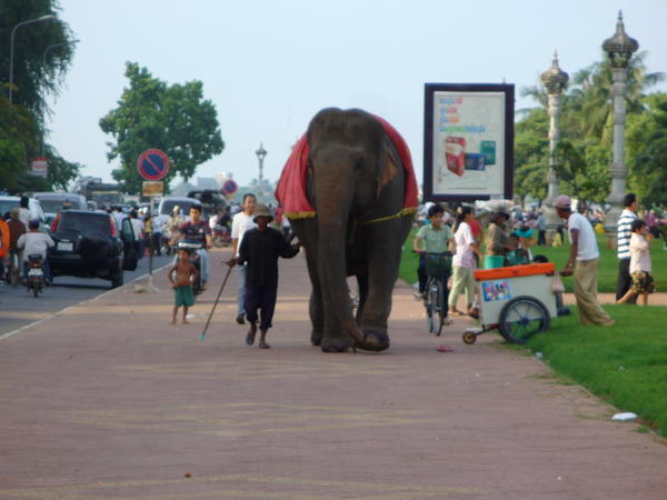 A typical Phnom Penh scene