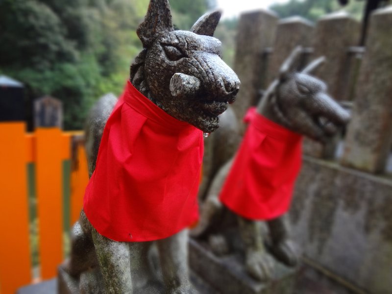 Foxes, Fushimi Inari