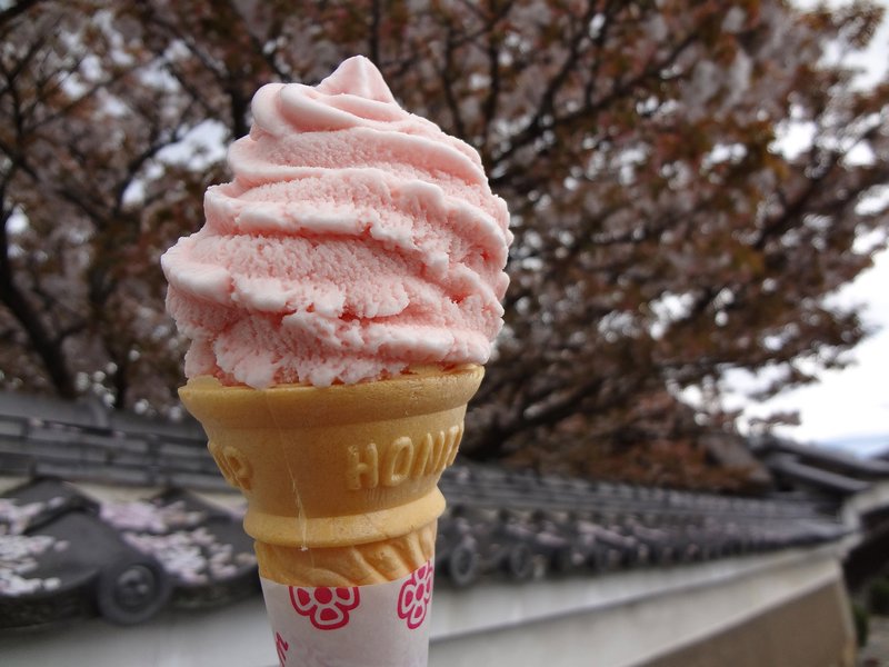 Sakura flavour icecream
