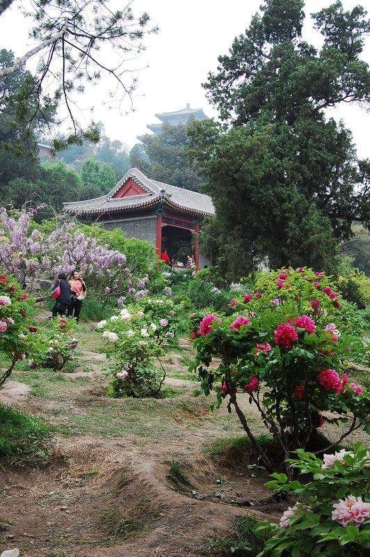 China-50-gardens