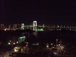 from Odaiba at night