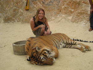 TOUCHING TIGERS